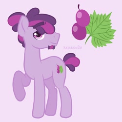 Size: 4000x4000 | Tagged: safe, oc, oc only, earth pony, pony, fruit, grape, original character do not steal, pony oc, solo