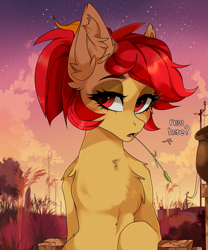 Size: 2000x2400 | Tagged: safe, artist:butterbit, oc, oc only, oc:primepeak, pegasus, pony, chest fluff, commission, dialogue, ear fluff, evening, eyeliner, female, high res, lidded eyes, looking at you, makeup, mare, scenery, sitting, solo, straw in mouth, ych result