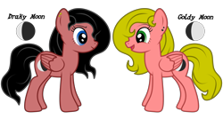 Size: 7680x4154 | Tagged: safe, artist:damlanil, oc, oc only, oc:draky moon, oc:goldy moon, pegasus, pony, big ears, duo, ear piercing, female, mare, piercing, simple background, sister, transparent background, twin, vector, wings