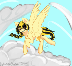Size: 2500x2300 | Tagged: safe, artist:lightningchaserarts, oc, oc:lightning chaser, pegasus, pony, braid, cloud, high res, improve, redraw, sky, wings