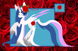 Size: 1280x834 | Tagged: safe, artist:jackie-sheepwitch, oc, oc only, oc:rose water, alicorn, pony, alicorn oc, curved horn, eye clipping through hair, flower, flower in hair, horn, raised hoof, reference sheet, rose, solo, unshorn fetlocks, wings