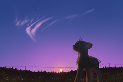 Size: 3000x2000 | Tagged: safe, artist:klooda, pony, advertisement, calm, commission, detailed, detailed background, evening, field, flower, full body, grass, grass field, high res, power line, realistic, sky, smiling, solo, summer, sunset, your character here