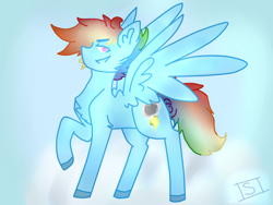 Size: 800x600 | Tagged: safe, artist:shinningblossom12, oc, oc:rainbow ditz, pegasus, pony, chest fluff, colored hooves, ear fluff, male, next generation, not rainbow dash, parent:rainbow dash, pegasus oc, raised hoof, smiling, smirk, sollo, stallion, wings