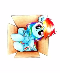 Size: 2322x2824 | Tagged: safe, artist:liaaqila, rainbow dash, pegasus, pony, behaving like a cat, box, cardboard box, cute, dashabetes, female, if i fits i sits, lightly watermarked, looking at you, looking up, looking up at you, overhead view, pony in a box, simple background, solo, traditional art, watermark, white background
