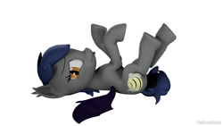 Size: 1280x720 | Tagged: safe, artist:batponyecho, oc, oc only, oc:echo, bat pony, pony, 3d, bat pony oc, bat wings, behaving like a dog, bellyrubs, cutie mark, female, looking at you, mare, sad, simple background, solo, source filmmaker, spread wings, tail, white background, wings