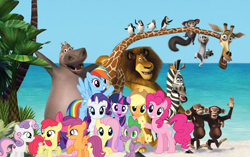 Size: 1148x722 | Tagged: source needed, safe, edit, apple bloom, applejack, fluttershy, pinkie pie, rainbow dash, rarity, scootaloo, spike, sweetie belle, twilight sparkle, alicorn, big cat, bird, chimpanzee, dragon, earth pony, giraffe, hippopotamus, lemur, lion, pegasus, penguin, pony, unicorn, zebra, g4, 1000 hours in ms paint, alex the lion, aye-aye, beach, crossover, cutie mark crusaders, dreamworks, gloria (madagascar), king julien, kowalski, madagascar (dreamworks), mane seven, mane six, marty, mason, maurice, melman, ocean, phil, private (madagascar), rico, ring-tailed lemur, skipper, twilight sparkle (alicorn)