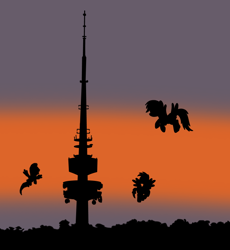 Size: 716x778 | Tagged: safe, artist:didgereethebrony, fluttershy, rainbow dash, oc, oc:didgeree, pegasus, pony, g4, canberra, flying, mlp in australia, silhouette, sunset, telstra tower, trace