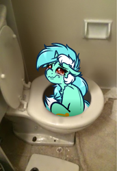 Size: 2740x4000 | Tagged: safe, artist:witchtaunter, lyra heartstrings, pony, unicorn, g4, abuse, but why, crying, imminent flush, irl, l.u.l.s., lyrabuse, photo, ponies in real life, sitting, solo, toilet
