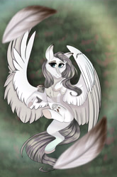 Size: 4907x7447 | Tagged: safe, artist:charlotteartz, oc, oc only, oc:hunter dream, pegasus, pony, absurd resolution, feather, female, mare, solo, two toned wings, wings