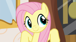 Size: 1920x1080 | Tagged: safe, screencap, fluttershy, pegasus, pony, discordant harmony, g4, female, mare, solo