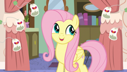 Size: 1920x1080 | Tagged: safe, screencap, fluttershy, pegasus, pony, discordant harmony, g4, female, ginseng teabags, mare