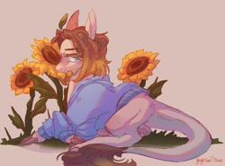 Size: 1280x949 | Tagged: safe, artist:yuyusunshine, earth pony, pony, clothes, flower, prone, solo, sunflower, sweater