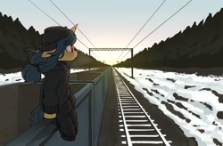 Size: 1998x1313 | Tagged: safe, artist:shinodage, fresh coat, pony, unicorn, beanie, cart, clothes, female, floppy ears, freighthopping, hat, hoodie, mare, pants, profile, railroad, scenery, sitting, snow, solo, train, train surfing, winter