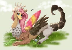 Size: 2780x1951 | Tagged: safe, artist:kaikururu, fluttershy, draconequus, dragonfly, insect, g4, atg 2020, draconequified, female, flower, flutterequus, grass, mismatched horns, mismatched wings, newbie artist training grounds, open mouth, outdoors, prone, scorpion tail, solo, species swap, spread wings, wings
