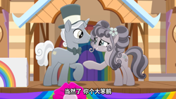 Size: 2313x1298 | Tagged: safe, screencap, petunia petals, sunny skies, earth pony, pony, unicorn, g4, my little pony: rainbow roadtrip, bowtie, chinese, desaturated, duo, female, hat, headband, male, mare, stallion, subtitles, top hat