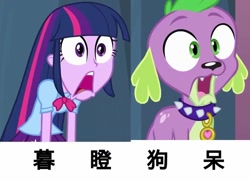 Size: 680x494 | Tagged: safe, edit, edited screencap, screencap, spike, twilight sparkle, dog, equestria girls, g4, my little pony equestria girls, chinese, meme, name pun, open mouth, pun, reaction image, shocked, shocked expression, spike the dog, stare, translation request, twilight sparkle (alicorn)