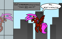 Size: 1000x627 | Tagged: safe, artist:rainbowbacon, oc, oc only, oc:rainbowbacon, pegasus, pony, building, city, newbie artist training grounds, sign, solo