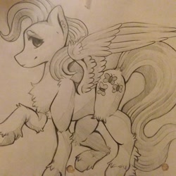 Size: 1080x1080 | Tagged: safe, artist:c_owokie, fluttershy, pegasus, pony, g4, chest fluff, female, fluffy, lineart, mare, raised hoof, solo, traditional art, unshorn fetlocks
