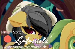 Size: 3987x2632 | Tagged: safe, artist:xsatanielx, daring do, pony, g4, advertisement, high res, patreon, patreon logo, patreon preview, paywall content
