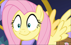Size: 1502x942 | Tagged: safe, screencap, fluttershy, pony, a health of information, g4, cropped, female, shrunken pupils, smiling, solo, spread wings, wings
