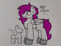Size: 2372x1779 | Tagged: safe, artist:drheartdoodles, oc, oc only, oc:dr.heart, clydesdale, pegasus, pony, background pony, chest fluff, reference sheet, size difference, smiling, solo, traditional art
