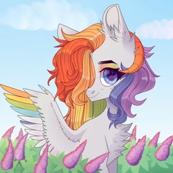 Size: 1080x1080 | Tagged: safe, artist:fotiles_art, oc, oc only, demon, demon pony, original species, pegasus, pony, bush, bust, chest fluff, cloud, colored wings, hair over one eye, horns, multicolored hair, multicolored wings, outdoors, pegasus oc, rainbow hair, rainbow wings, smiling, solo, wings