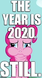 Size: 369x671 | Tagged: safe, edit, edited edit, edited screencap, screencap, pinkie pie, earth pony, pony, g4, read it and weep, 2020, captain obvious, caption, cropped, fact, female, image macro, meme, outdated, solo, text, updated
