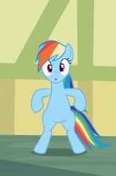 Size: 250x377 | Tagged: safe, screencap, rainbow dash, pony, g4, the mysterious mare do well, bipedal, cropped, female, looking at you, solo, wide eyes