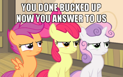 Size: 600x375 | Tagged: safe, edit, edited screencap, screencap, apple bloom, scootaloo, sweetie belle, g4, somepony to watch over me, caption, cropped, cutie mark crusaders, image macro, meme, puffed chest, sitting, sweat, text, tough, trio, uh oh, you dun goofed