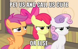 Size: 600x375 | Tagged: safe, edit, edited screencap, screencap, apple bloom, scootaloo, sweetie belle, earth pony, pegasus, pony, unicorn, g4, somepony to watch over me, adorabloom, bronybait, caption, cropped, cute, cutealoo, cutie mark crusaders, diasweetes, female, filly, image macro, meme, or else, pet request, petting, puffed chest, sitting, sweat, text, tough, trio, uh oh