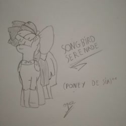 Size: 1080x1080 | Tagged: safe, artist:operfield, songbird serenade, pegasus, pony, g4, my little pony: the movie, bow, female, hair bow, lineart, mare, monochrome, sia (singer), signature, solo, text, traditional art