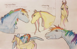 Size: 1446x934 | Tagged: safe, artist:themoonraven, fluttershy, rainbow dash, pegasus, pony, g4, 2017, duo, duo female, female, grooming, hoers, horses doing horse things, icelandic, lesbian, marwari, pencil drawing, realistic anatomy, ship:flutterdash, shipping, simple background, spread wings, text, traditional art, wings