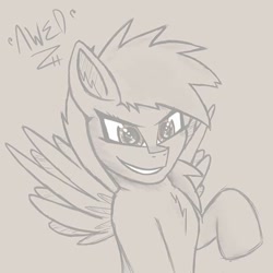 Size: 720x720 | Tagged: safe, artist:awed, rainbow dash, pegasus, pony, g4, bust, chest fluff, excited, female, mare, newbie artist training grounds, portrait, raised hoof, sketch, smiling, solo, wings, wip