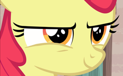 Size: 1503x933 | Tagged: safe, screencap, apple bloom, earth pony, pony, g4, hard to say anything, close-up, cropped, evil smile, female, grin, narrowed eyes, smiling, solo