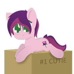 Size: 3000x3000 | Tagged: safe, artist:silverstararts, oc, oc:rose shelf, cute, freckles, high res, lineless, pedestal