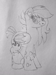 Size: 3000x4000 | Tagged: safe, artist:ponkus, oc, oc only, oc:odd inks, pegasus, pony, female, mare, sketch, solo, traditional art