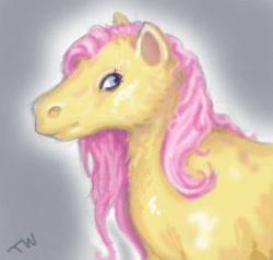 Size: 595x567 | Tagged: safe, artist:sharkledog, fluttershy, pegasus, pony, g4, bust, female, hoers, mare, signature, solo