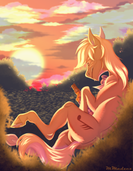 Size: 3500x4500 | Tagged: safe, artist:murshumadzex, earth pony, pony, bottle, high res, male, solo, stallion, sunset