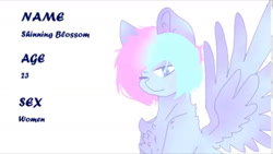 Size: 1280x720 | Tagged: safe, artist:shinningblossom12, oc, oc only, oc:shinning blossom, pegasus, pony, chest fluff, female, mare, one eye closed, pegasus oc, reference sheet, simple background, solo, text, white background, wings, wink