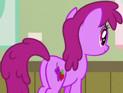 Size: 355x269 | Tagged: safe, screencap, berry punch, berryshine, earth pony, pony, a flurry of emotions, g4, berry butt, butt, cropped, female, mare, plot, solo
