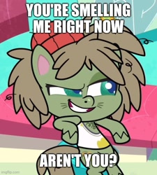 Size: 500x555 | Tagged: safe, edit, edited screencap, screencap, dishwater slog, earth pony, pony, g4.5, my little pony: pony life, the best of the worst, bipedal, bipedal leaning, caption, image macro, leaning, male, meme, solo, text