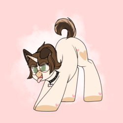 Size: 2000x2000 | Tagged: safe, artist:xcinnamon-twistx, oc, oc:adostume, pony, unicorn, animated, behaving like a dog, bent over, collar, floppy ears, glasses, high res, open mouth, pet play, pet tag, tail, tail wag, tongue out, wide eyes