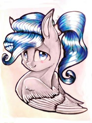 Size: 800x1067 | Tagged: safe, artist:kiwwsplash, oc, oc only, pegasus, pony, bust, pegasus oc, smiling, solo, traditional art, wings