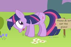Size: 940x630 | Tagged: safe, artist:dm29, edit, twilight sparkle, alicorn, pony, g4, copyright, female, frown, fuck the police, grass, grazing, herbivore, horses doing horse things, keep off the grass, looking back, mare, open mouth, pure unfiltered evil, secret shame, sign, silly, silly pony, solo, twilight sparkle (alicorn), wide eyes