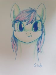 Size: 512x384 | Tagged: safe, artist:sokolas, oc, oc only, pony, solo, traditional art