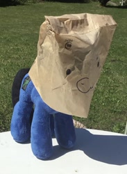 Size: 1201x1645 | Tagged: safe, artist:bastler, oc, oc:digital wrench, oc:paper bag, pony, face on a bag, i think that's not the paper bag pony, irl, male, paper bag, photo, plushie, stallion