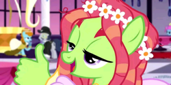Size: 720x361 | Tagged: safe, edit, edited screencap, screencap, carlotta, tree hugger, earth pony, pony, totally legit recap, g4, make new friends but keep discord, suddenly hands, thumbs up, unnamed character, unnamed pony