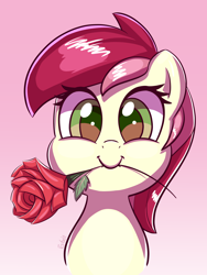 Size: 1500x2000 | Tagged: safe, artist:esfelt, roseluck, earth pony, pony, g4, bust, cute, female, flower, gradient background, looking at you, mare, mouth hold, portrait, rosabetes, rose, smiling, solo