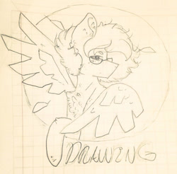 Size: 722x710 | Tagged: safe, artist:shinningblossom12, oc, oc only, oc:drawing, pegasus, pony, bust, ear fluff, glasses, male, pegasus oc, solo, stallion, traditional art, wings