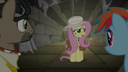 Size: 1920x1080 | Tagged: safe, screencap, doctor caballeron, fluttershy, rainbow dash, earth pony, pegasus, pony, daring doubt, g4, ascot tie, clothes, cute, dashabetes, female, hat, male, mare, shirt, shyabetes, stallion, sun hat